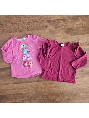 Toddler Girls Long Sleeve Tops Pink Graphic & Burgundy Ruffle Size 2T